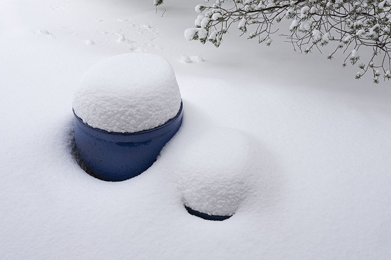 blue vase in snow